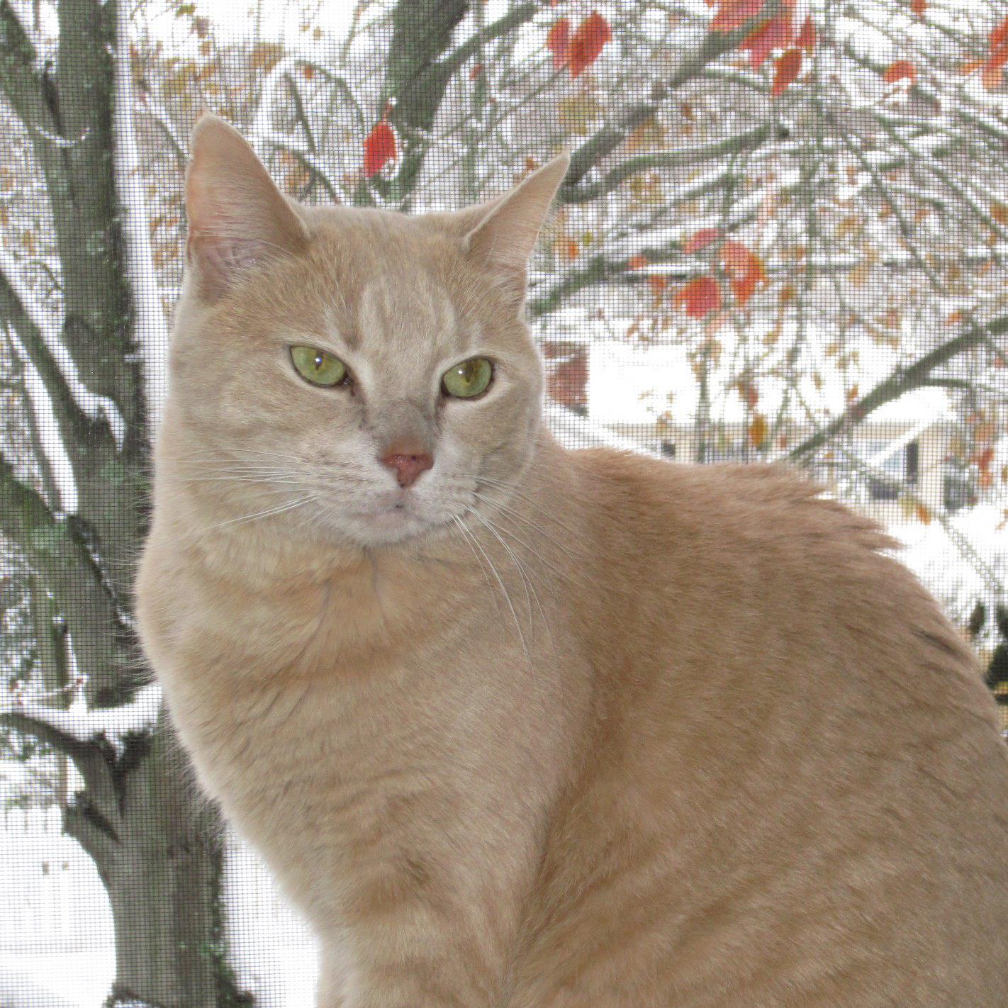 860870_10200715707759888_718265538_o