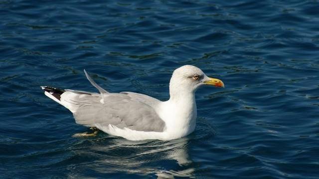 935490_274102449402184_735595257_n (2)